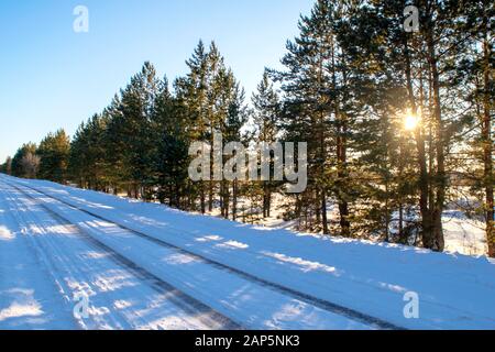 Strada innevata lungo la bellissima pineta sempreverde. Strada invernale da nessuna parte in giornata di sole. Strada vuota con enormi rive di neve sui lati al tramonto Foto Stock