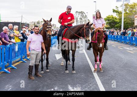 Cavalli e Cavalieri al San Sebastian fiesta in La Caleta, Costa Adeje, Tenerife, Isole Canarie. Il 20 gennaio 2020. Foto Stock