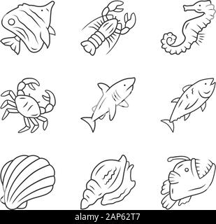 Animali marini lineare set di icone. Nuoto shark, rana pescatrice, butterflyfish. Creatura sottomarina. Organismi acquatici. Linea sottile simboli di contorno. Isolato Illustrazione Vettoriale