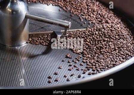 Processo di tostatura del caffè. Chicchi di caffè spostati dalla pala rotante all'interno della tramoggia per il raffreddamento e la vagliatura dopo la tostatura. Tipo di tamburo arrosto Foto Stock