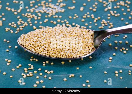 Primo piano di cucchiaio d'argento isolato pieno di semi di quinoa su vecchio piatto di porcellana graffiato blu Foto Stock