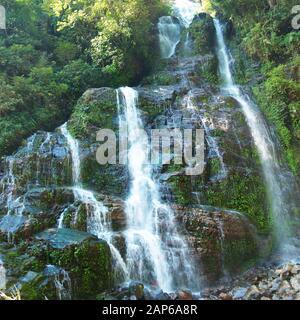 Bella cascata nella foresta circondata da alberi verdi Foto Stock