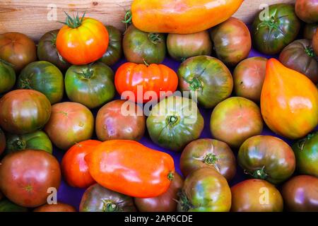 Full frame primo piano di varie forme di pomodoro: Diversi tipi di rosso, giallo, nero provenzale francese maturo pomodori freschi in legno scatola di frutta su m coltivatore Foto Stock