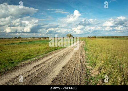 Tracce di ruote su una strada sabbiosa attraverso campi verdi, orizzonte e nuvole bianche sul cielo blu Foto Stock