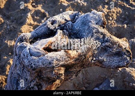 Frost On Newton Beach Vicino Porthcawl, Galles Del Sud Foto Stock