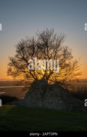 Tramonto visto attraverso la silhouette di un albero al Castello di Hadleigh, Essex, Inghilterra Foto Stock