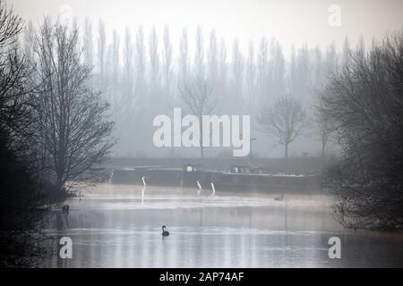Peterborough, Regno Unito. Xxi gen, 2020. Si tratta di una fredda per iniziare la giornata come la nebbia si blocca in aria lungo il fiume Nene in Peterborough, CAMBRIDGESHIRE, Regno Unito, il 21 gennaio 2020. Credito: Paolo Marriott/Alamy Live News Foto Stock