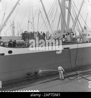 Incendio a bordo del Badagiy Palm nel Waalhaven a Rotterdam. I vigili del fuoco scendono in attesa con maschere ad ossigeno Data: Marzo 28, 1961 Location: Rotterdam, Zuid-Holland Parole chiave: incendi, vigili del fuoco nome personale: Badagiy Palm Foto Stock