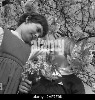 Fioritura fiorisce in Betuwe Data: 11 aprile 1961 Luogo: Betuwe Foto Stock