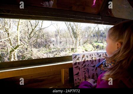 Giovane ragazza in pelle di uccello in attesa di uccelli. Oxfordshire Inghilterra Foto Stock