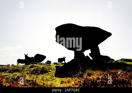 Kilclooney più II DG. 70 Neolitico preistoria megalitica tomba del portale aka Kilclooney Dolmen vicino a Ardara, Donegal, Irlanda. Resident asini Foto Stock