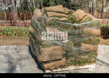 Nuovo giardinaggio prato rotoli di erba fresca manto erboso pronto per essere utilizzato Foto Stock