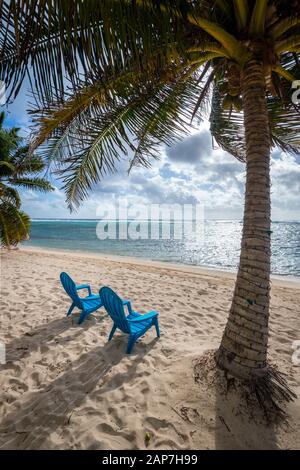 Sedie da spiaggia sulla spiaggia con palme, Grand Cayman Island Foto Stock