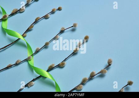 Un bouquet di ramoscelli salici con boccioli soffici e nastri su sfondo azzurro per la festa della Risurrezione delle Palme. Foto Stock