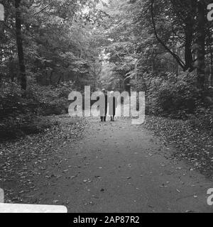 Autunno nel bosco di Rotterdam Kralingse Descrizione: Foreste, autunno Data: 3 ottobre 1966 Località: Rotterdam, Sud-Olanda Parole Chiave: Foreste, autunno Foto Stock