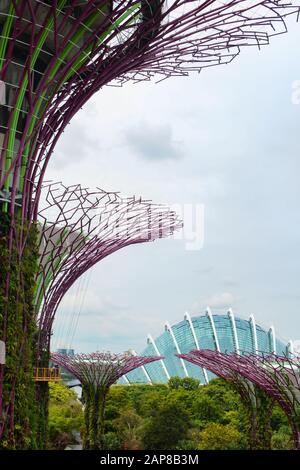 Singapore - 8 SETTEMBRE 2018 - Vista del Cloud Dome dallo Skyway OCBC ai Gardens by the Bay di Singapore Foto Stock