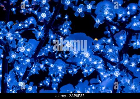 luci artificiali di fiori di garland elettrico con un bagliore bluastro su rami di alberi artificiali su sfondo nero Foto Stock