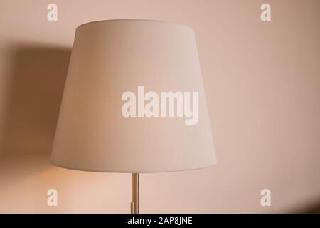 Elegante piantana su sfondo bianco. Idea per il design degli interni Foto Stock