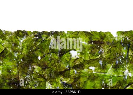 Macro immagine del bordo un foglio di alghe secche su sfondo bianco Foto Stock