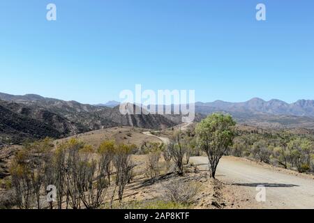 Vista Panoramica Del Razorback, Bunyeroo Gorge, Ikara-Flinders Ranges National Park, Australia Meridionale, Australia Foto Stock