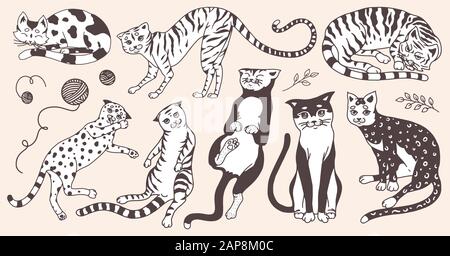 Collezione di gatti. Lavare, giocare e dormire animali. Carino divertente gattino Domestico. Disegno inciso a mano per banner o t-shirt. Monocromatico Illustrazione Vettoriale