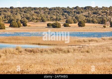 Zone umide in Spagna. Lagunas del Ruidera. Albacete Ciudad Real Paesaggio Foto Stock