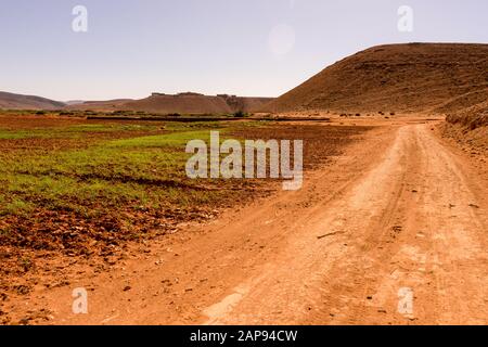 una pista nel deserto nel sud del marocco Foto Stock
