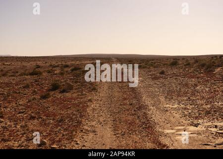 una pista nel deserto nel sud del marocco Foto Stock
