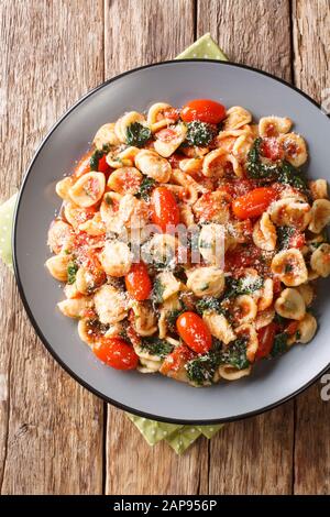 Pasta italiana di orecchiette cotta con spinaci e parmigiano in salsa di pomodoro da vicino in un piatto sul tavolo. Vista dall'alto verticale Foto Stock