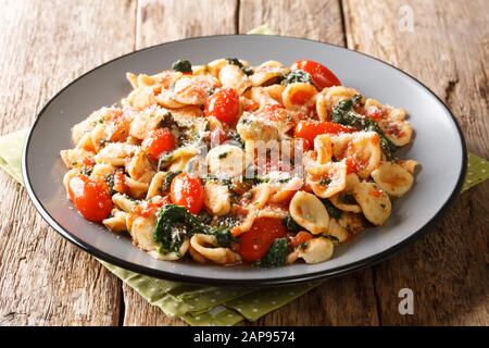 Pasta italiana vegetariana orecchiette con spinaci in salsa di pomodoro primo piano in un piatto sul tavolo orizzontale Foto Stock