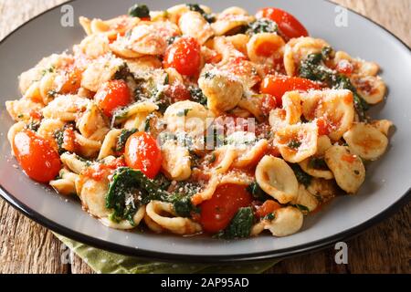 Gustosa pasta orecchiette cotta con spinaci e parmigiano in salsa di pomodoro da vicino in un piatto sul tavolo. Orizzontale Foto Stock