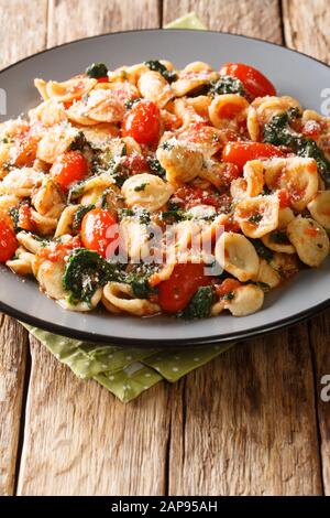 Pasta italiana di orecchiette cotta con spinaci e parmigiano in salsa di pomodoro da vicino in un piatto sul tavolo. Verticale Foto Stock