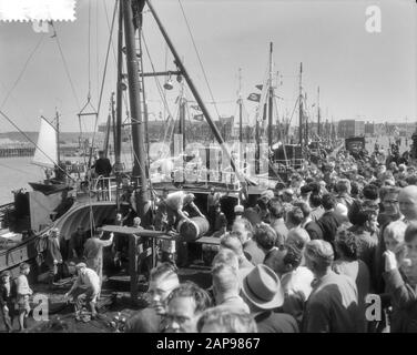Arrivo nuovo Aringa a Scheveningen richiesto dal Noorderkroon Data: 22 maggio 1959 Foto Stock