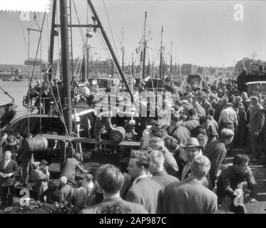 Arrivo nuovo Aringa a Scheveningen richiesto dal Noorderkroon, barili con aringa sono sbarcati Data: 22 maggio 1959 Foto Stock