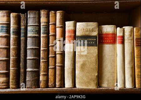 Libri sugli scaffali della Biblioteca, che riflettono gli interessi di diverse generazioni della famiglia Bankes, a Kingston Lacy, Dorset. Foto Stock