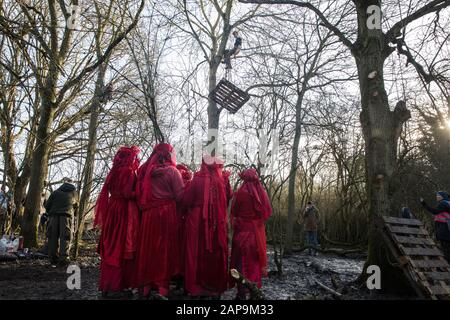 Harefield, Regno Unito. 18 Gennaio 2020. La Brigata Red Rebel osserva una protezione della terra che tira un pallet su un albero dopo gli attivisti dall'estinzione Rebellio Foto Stock