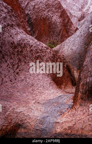 Uluru (Ayres Rock) sotto la pioggia dopo una lunga siccità. Territorio del Nord, Australia Foto Stock