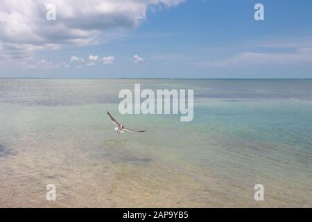 keys island florida, sette miglia ponte Foto Stock