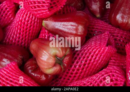 Frutti di mela rosa Thailandia Thai Asia asiatica Foto Stock