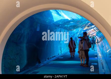 Persone nel tunnel acquario di Dubai nel centro commerciale di Dubai, Emirati Arabi Uniti Foto Stock