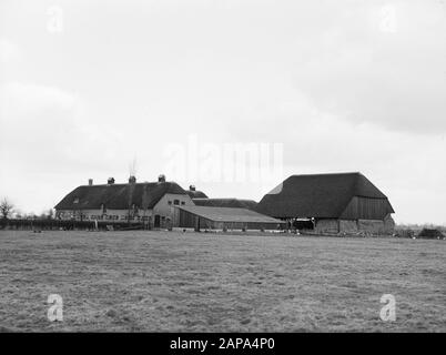 Farm De Olde Weije in Vaassen Annotazione: Fattoria di prova per la coltivazione e fertilizzazione. Costruito nel 1962 per conto dell'industria Olandese Dell'Azoto Data: Non data: Luogo: Gelderland, Vaassen Parole Chiave: Fattorie, edifici Foto Stock
