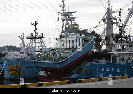 Iwaki, Giappone. 22nd Gen 2020. Le barche da pesca sono viste al Porto di Onahama nella prefettura di Fukushima. Il tour stampa è organizzato dal Centro Stampa estera Giappone in collaborazione con le autorità prefettura di Fukushima per mostrare gli sforzi di recupero dall'incidente nucleare provocato dal Terremoto e dallo tsunami del Giappone del 2011, prima dei Giochi Olimpici e paraolimpici di Tokyo 2020. Credit: Rodrigo Reyes Marin/Zuma Wire/Alamy Live News Foto Stock