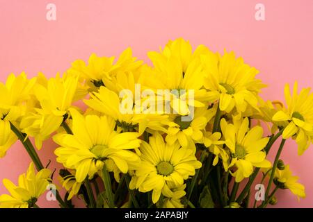 Crisantemo giallo bouquet su sfondo giallo. Spazio di copia Foto Stock