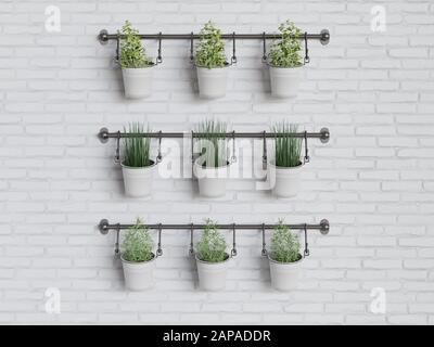 Erbe da cucina e piante da giardinaggio in una parete bianca di mattoni, sano concetto di minimalismo vivente - 3D rendering Concept Foto Stock