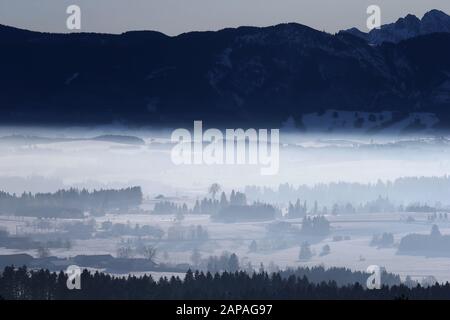 Bernbeuren, Germania. 22nd Gen 2020. La malvenza foreland alpina si trova in una foschia leggera. Credito: Karl-Josef Hildenbrand/Dpa/Alamy Live News Foto Stock