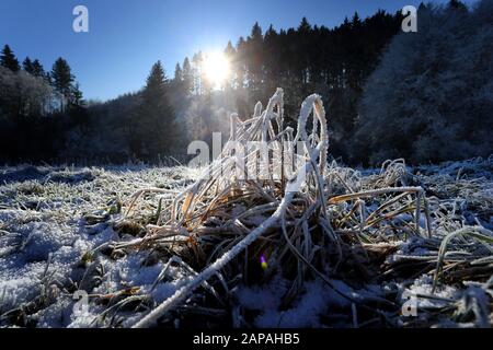 Bernbeuren, Germania. 22nd Gen 2020. Il sole splende su un prato coperto di brina. Credito: Karl-Josef Hildenbrand/Dpa/Alamy Live News Foto Stock