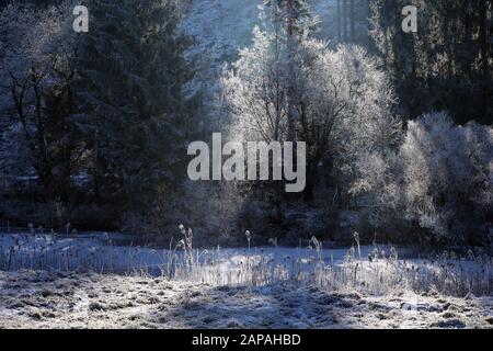 Bernbeuren, Germania. 22nd Gen 2020. Il sole splende su un prato coperto di brina. Credito: Karl-Josef Hildenbrand/Dpa/Alamy Live News Foto Stock