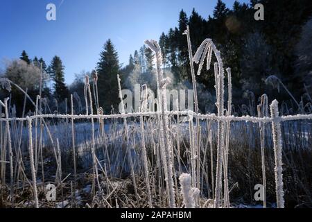 Bernbeuren, Germania. 22nd Gen 2020. Il sole splende su un prato coperto di brina. Credito: Karl-Josef Hildenbrand/Dpa/Alamy Live News Foto Stock