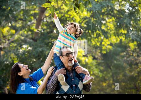 Nonna con nipote seduto sulla spalla del nonno al parco Foto Stock