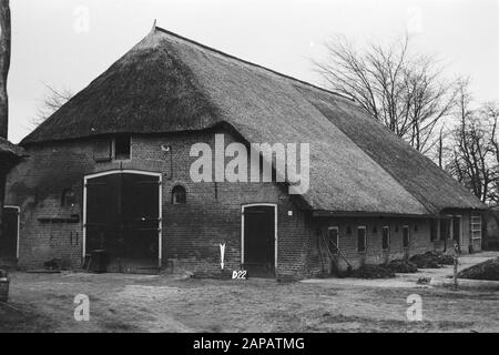 Punti fissi Culturtechnische dienst Descrizione: Azienda agricola a D. (consolidamento del terreno Het Goor) Annotazione: D-22. Terrefilomodifiche Foto Stock